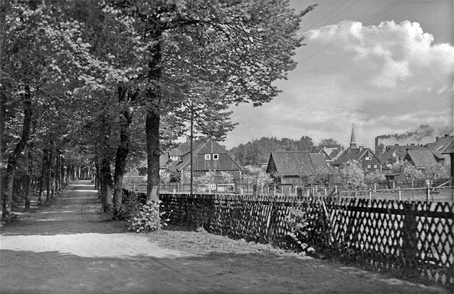 View of Palmnicken from the Moritz Becker Park