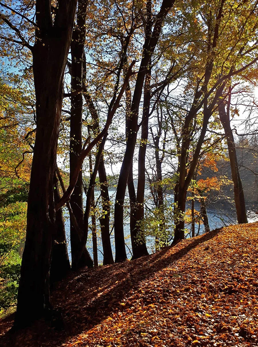 View of the Wargen (Shkolny) Pond