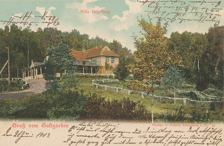 Postcard from Drugehnen