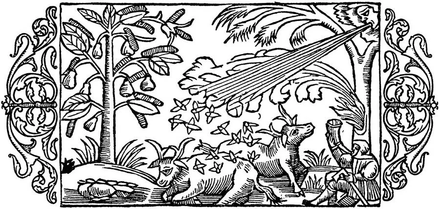 Olaus Magnus Olaus Magnus
