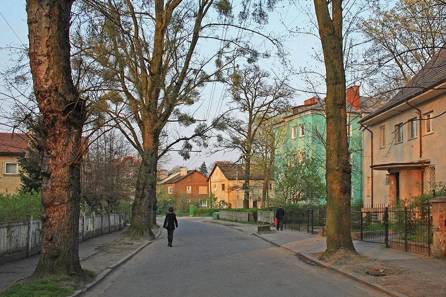 Амалиенау