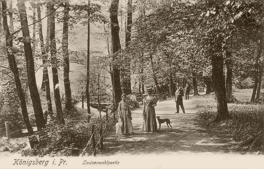 On the paths of Luisenwahl in the early 20th century