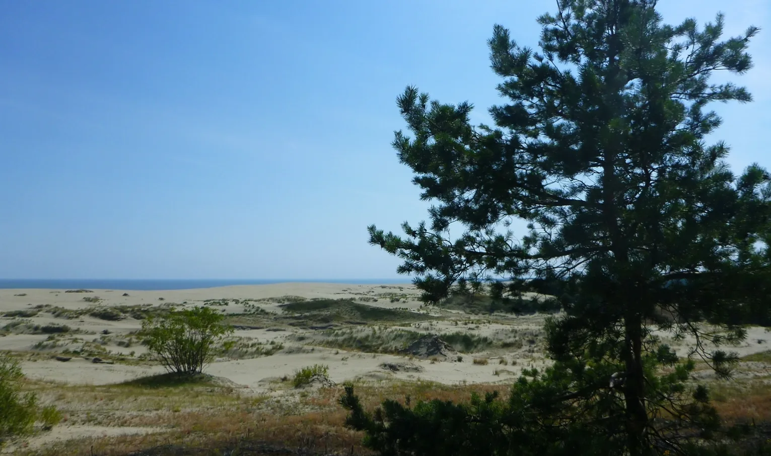 View of the Curonian Lagoon from the Efa Dune. Photo by Mikhail Ogorodnikov