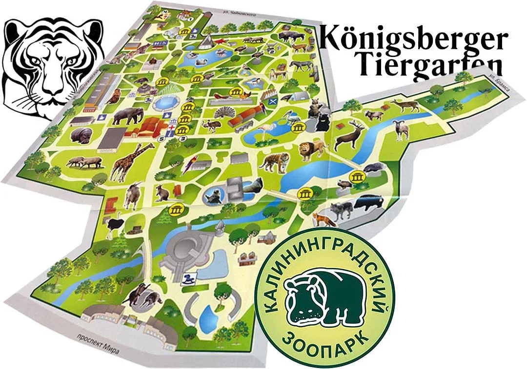 Kaliningrad Zoo (Tiergarten)