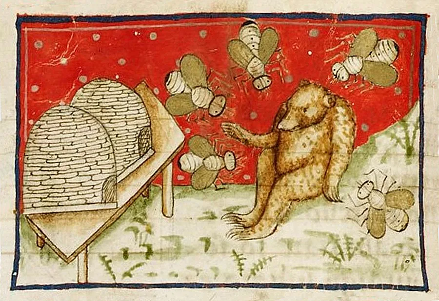 Bärenfang
