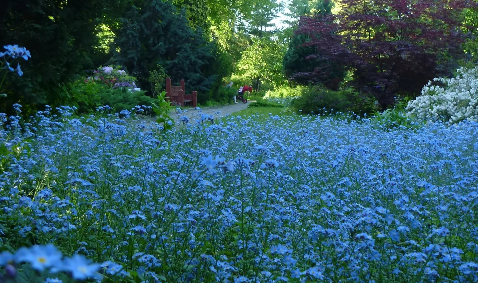 The regional capital has many beautiful parks.