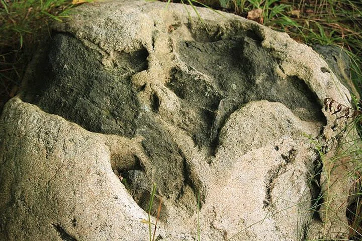 Kamień ze śladami przy pruskim grodzisku Pokirben