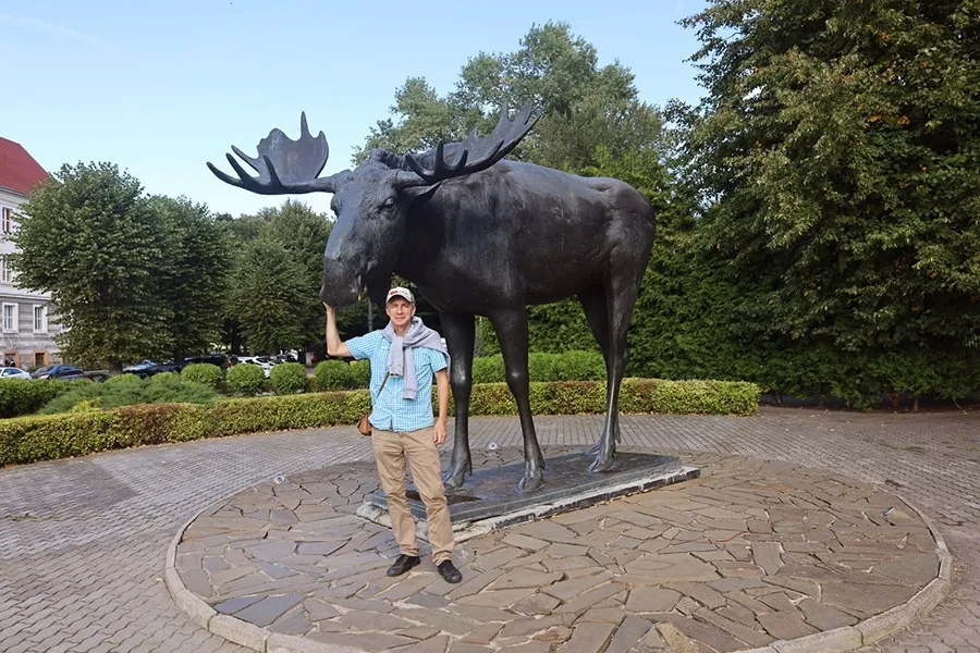 Gustav the elk by the Sovetsk administration building