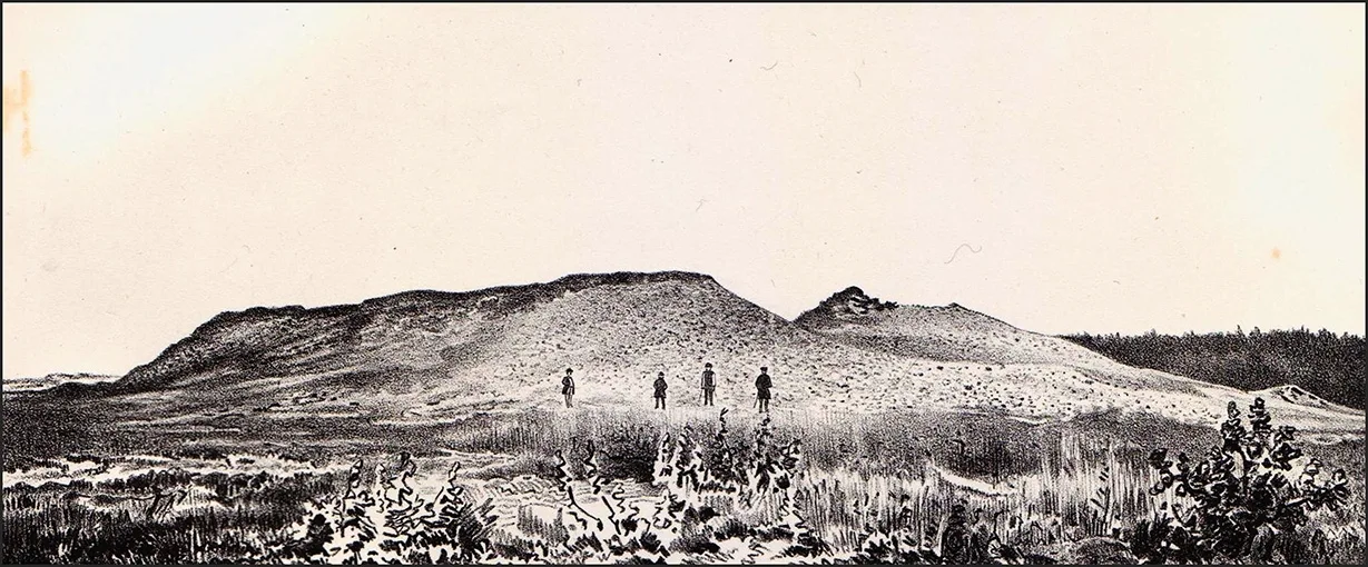View of the Korallenberg near Rossitten