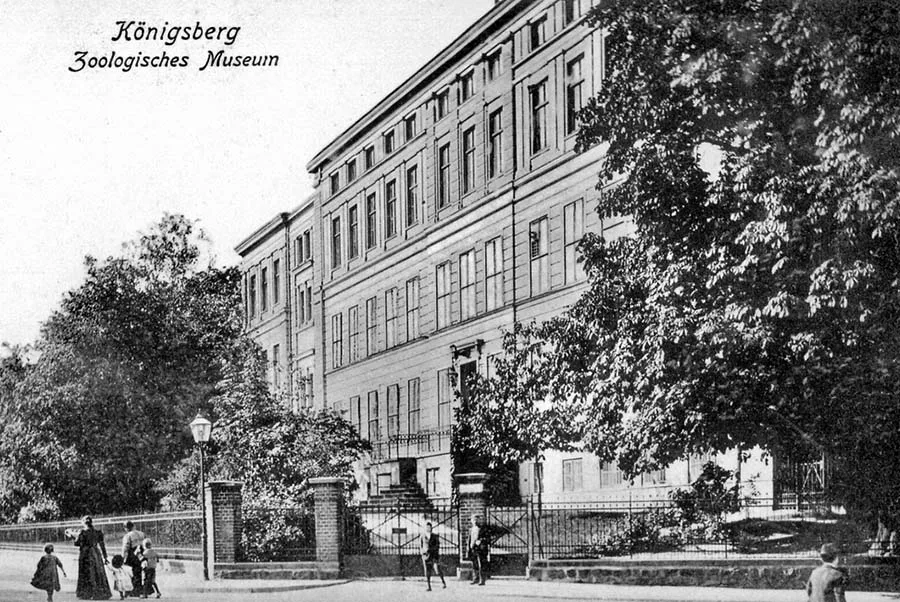 Zoological Museum