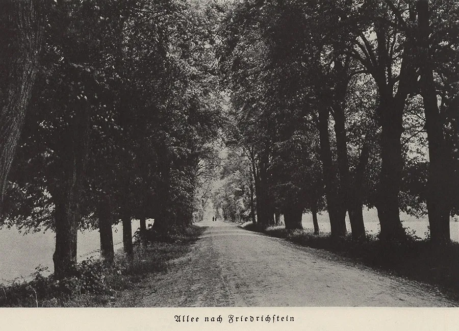 Alėja Friedrichsteine