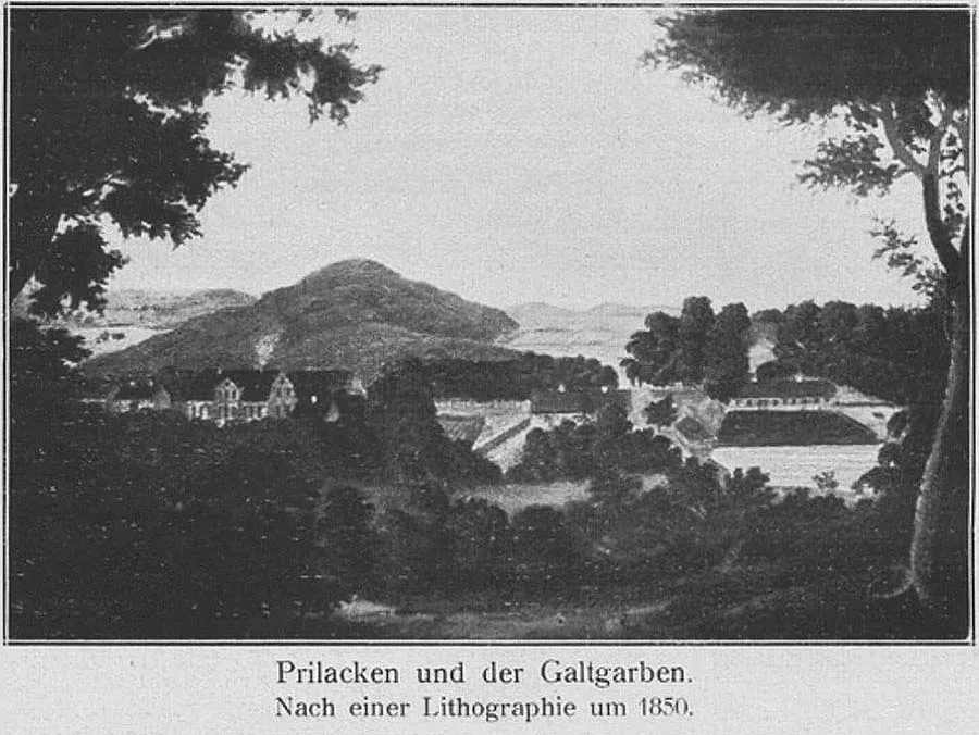 Berg Galtgarben