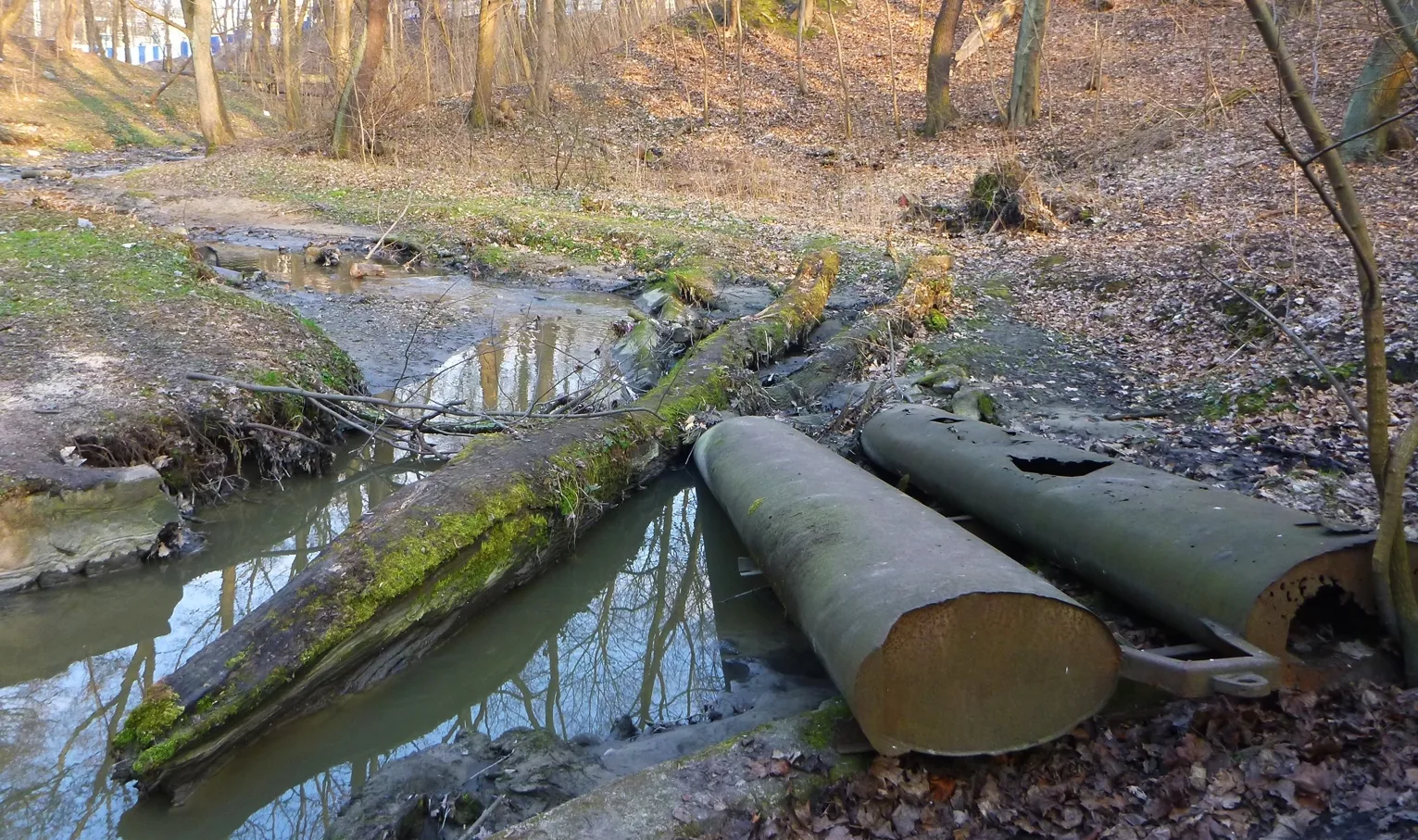 ...but the Parkovy Stream as it is today inspires only sad thoughts.