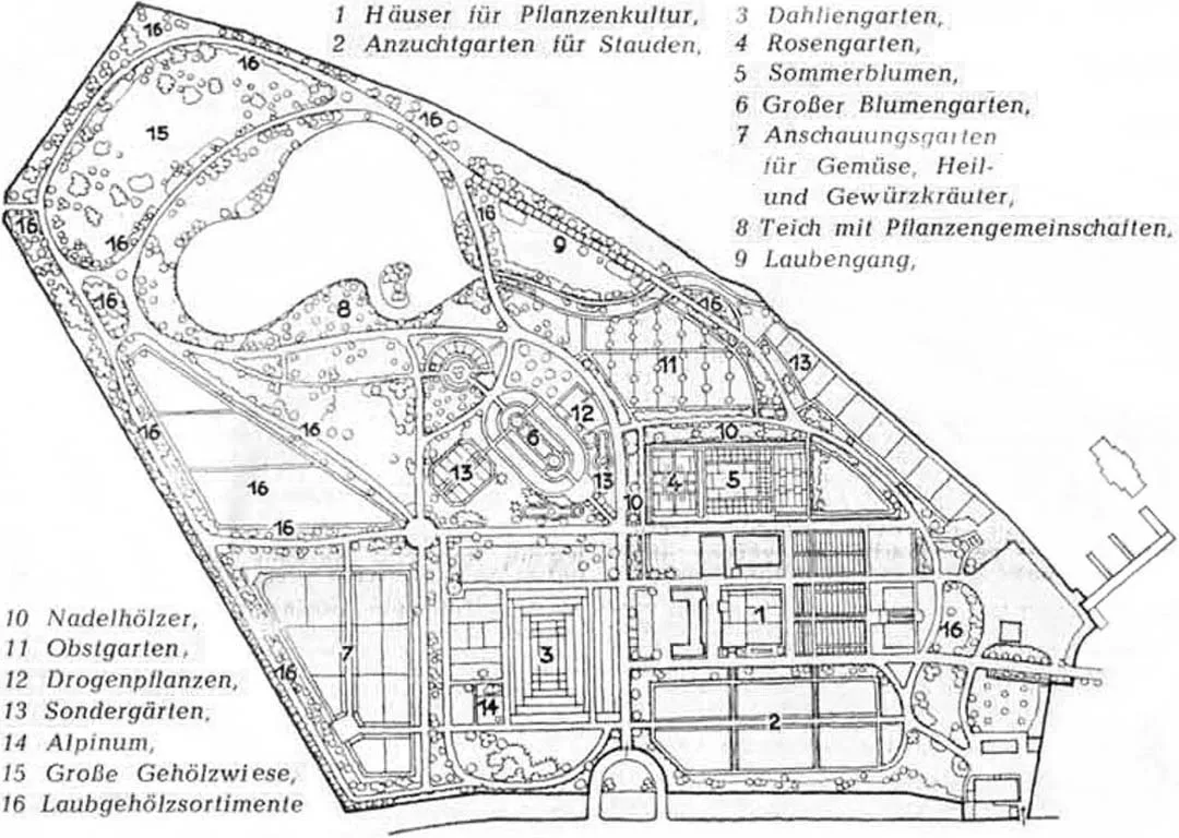 Ботанический сад БФУ имени Иммануила Канта (Городское садоводство)