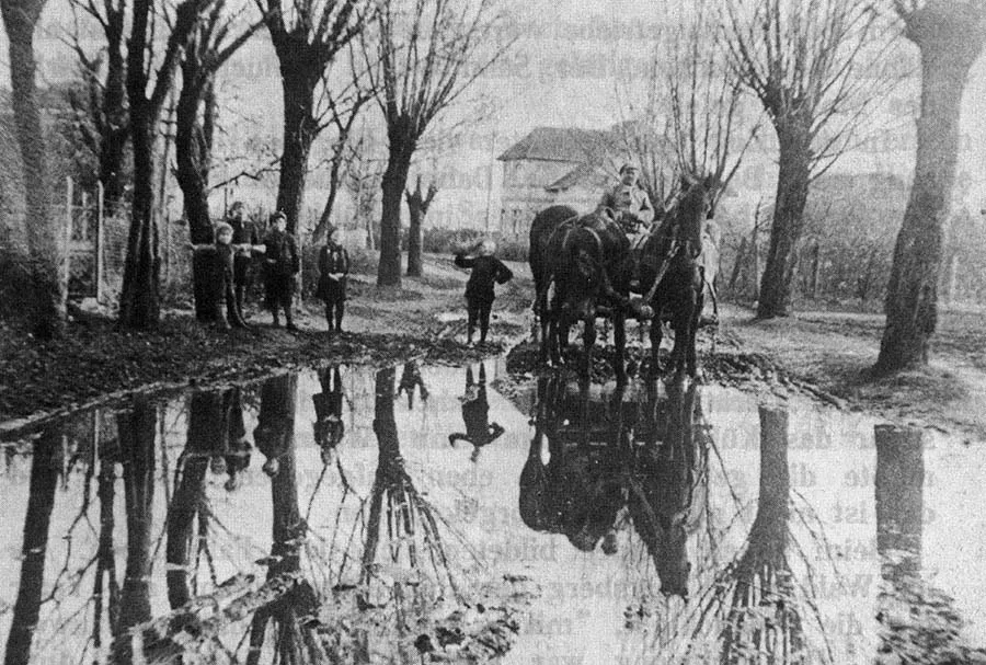 The Widitten pond