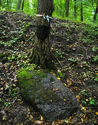 Flacher Stein am Fuß des äußeren Walls des prußischen Burgwalls Groß Hausen und heutige Opfergaben in Form von Stoffknoten