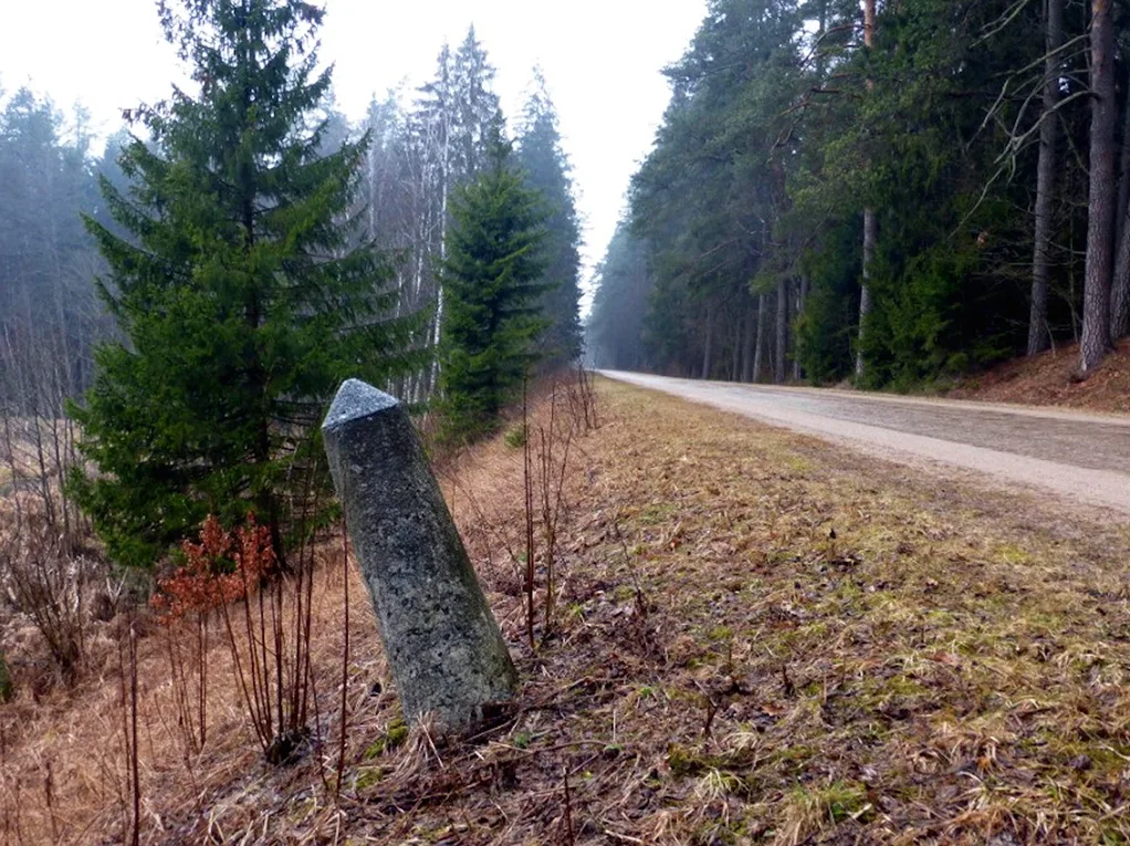 Лесоустройство и памятники природы Роминтской Пущи
