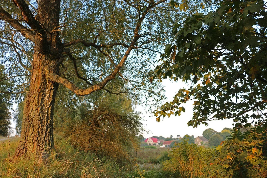 Krasnolesje (Groß Rominten)