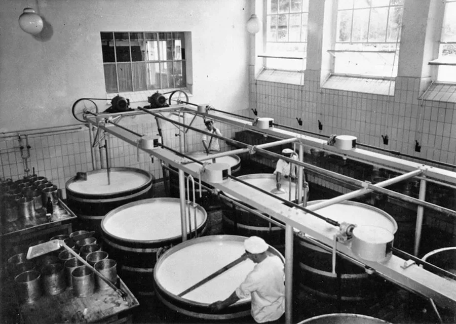 Tilsiter production