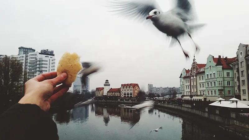 Город, в который хочется вернуться