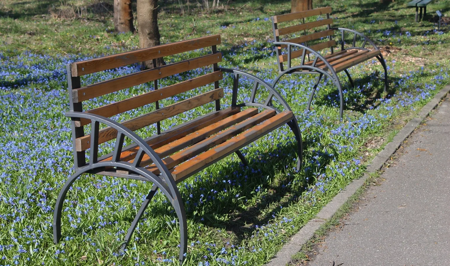 Скамейки ботанического сада среди голубых пролесок. Фото Натальи Антоновой