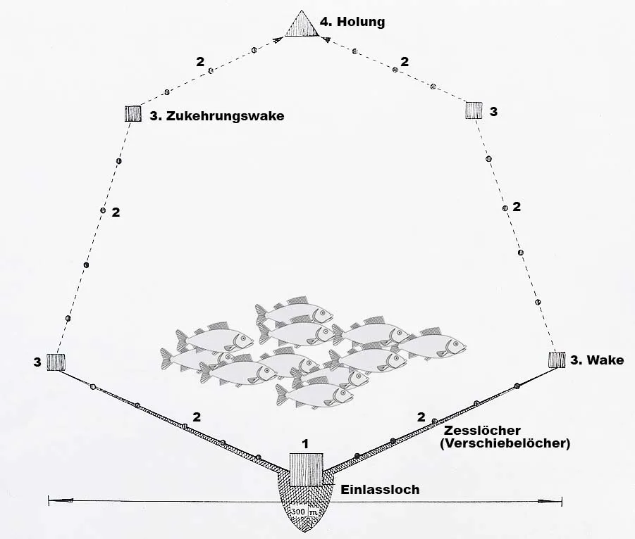Schema