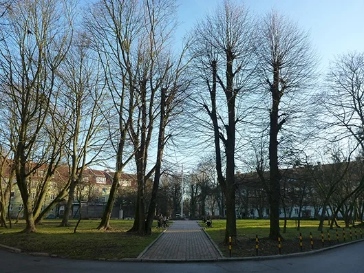 Chopin Square at the junction of Stepana Razina Street and Kommunalnaya Street