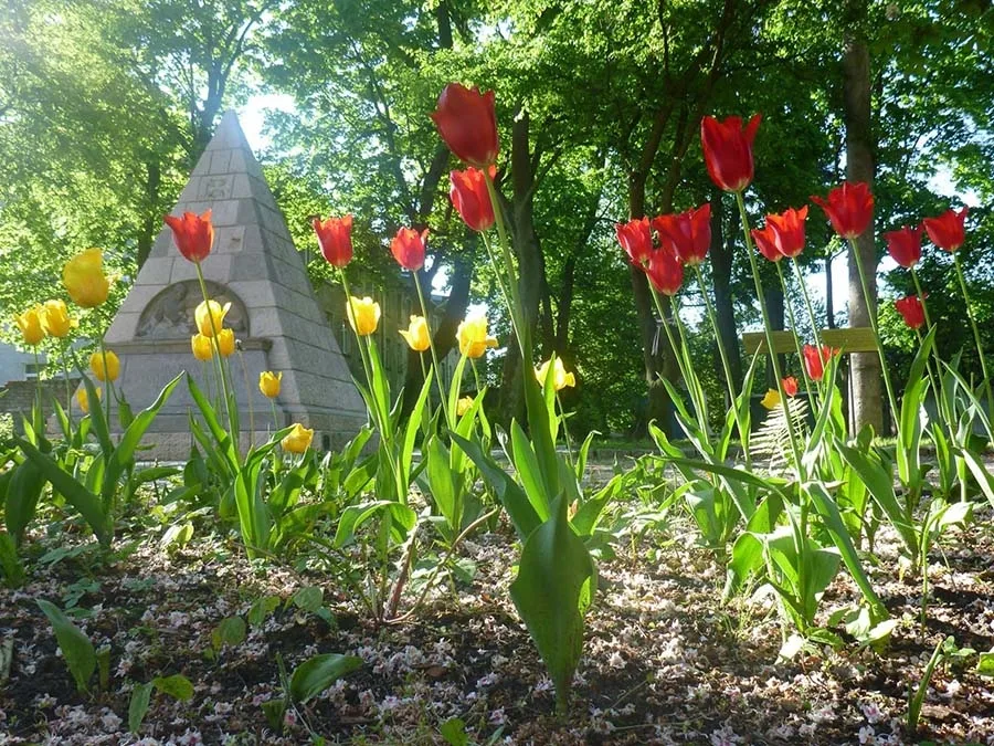 Tulpen vor der Pyramide in der Malojaroslawskaja-Straße