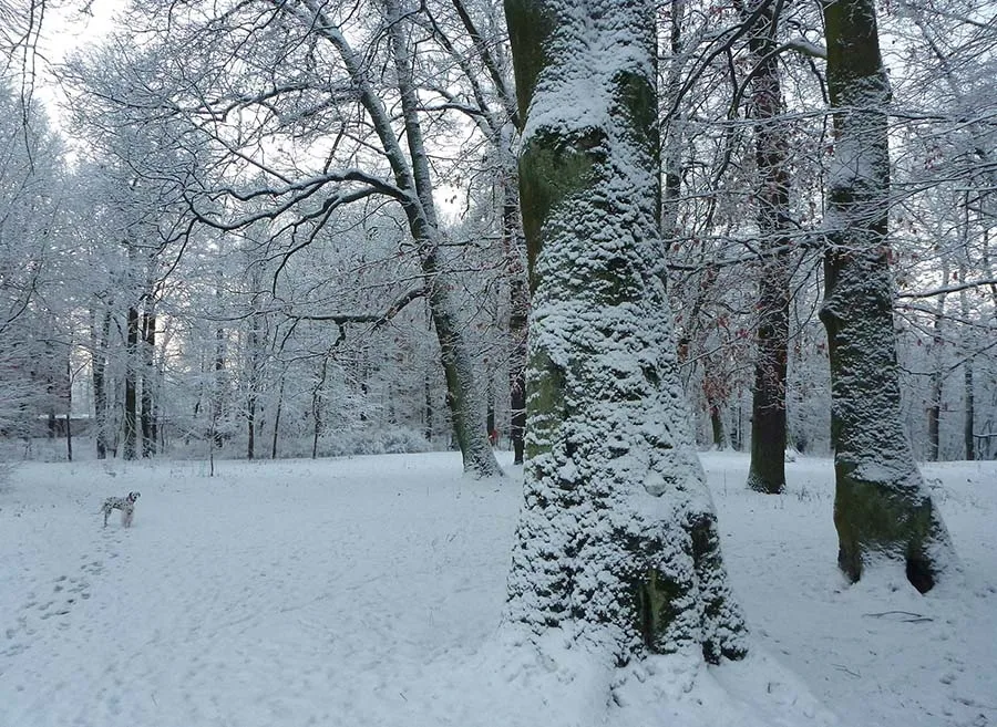 Wintermärchen