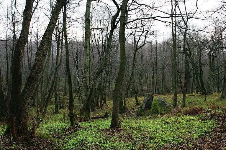 Der Lügenstein in der Landschaft des Lachsbachtals