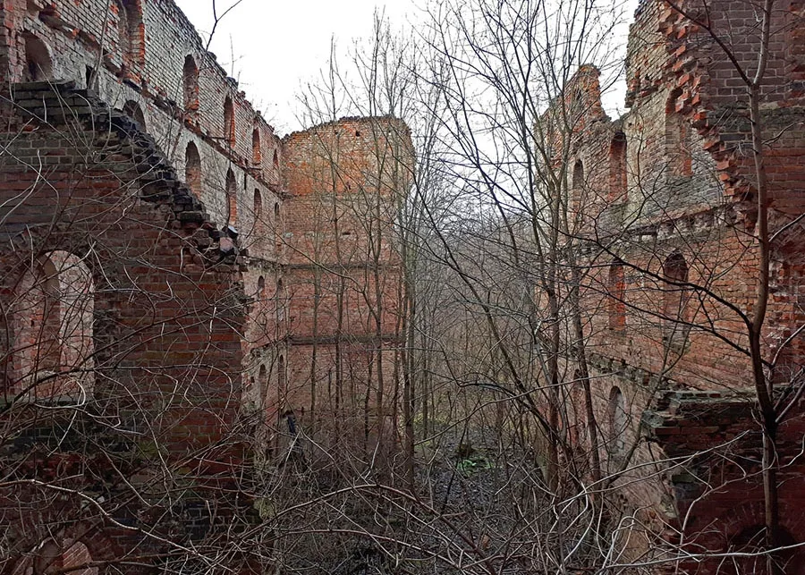 Ruins of the Zinten mill