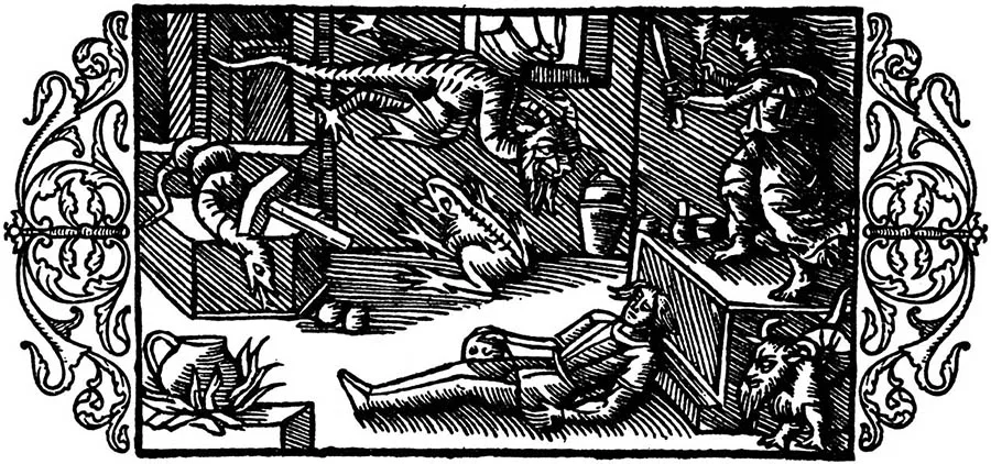 Olaus Magnus Olaus Magnus