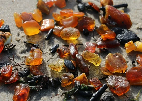 Amber on the seashore