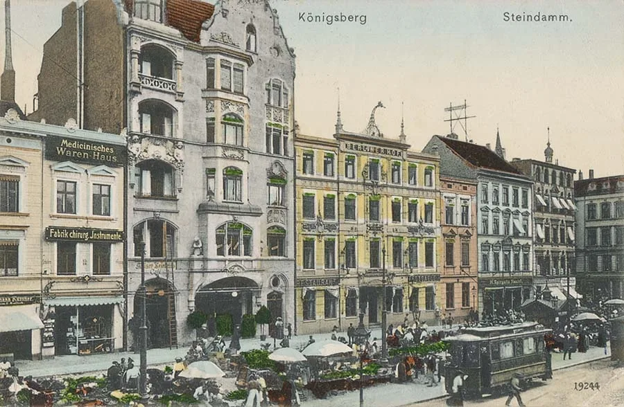 Steindammo turgus