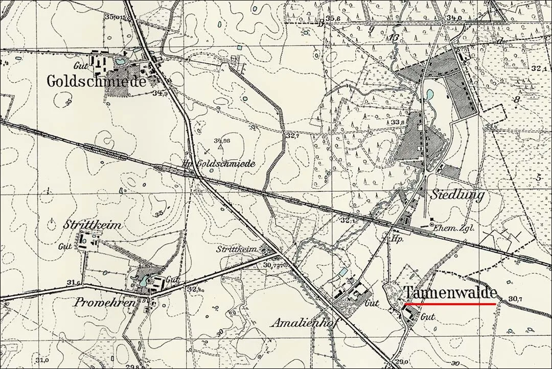 Чкаловск (Танненвальде)