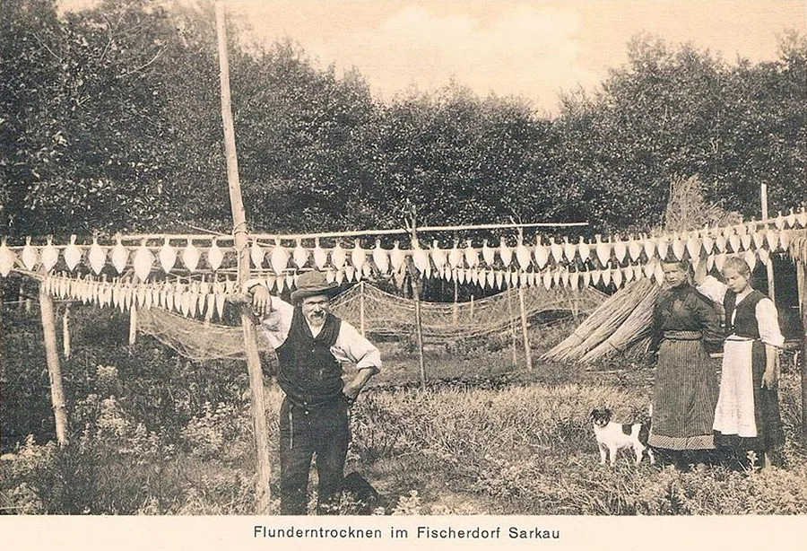 Flundertrocknen in Sarkau (Lesnoi)
