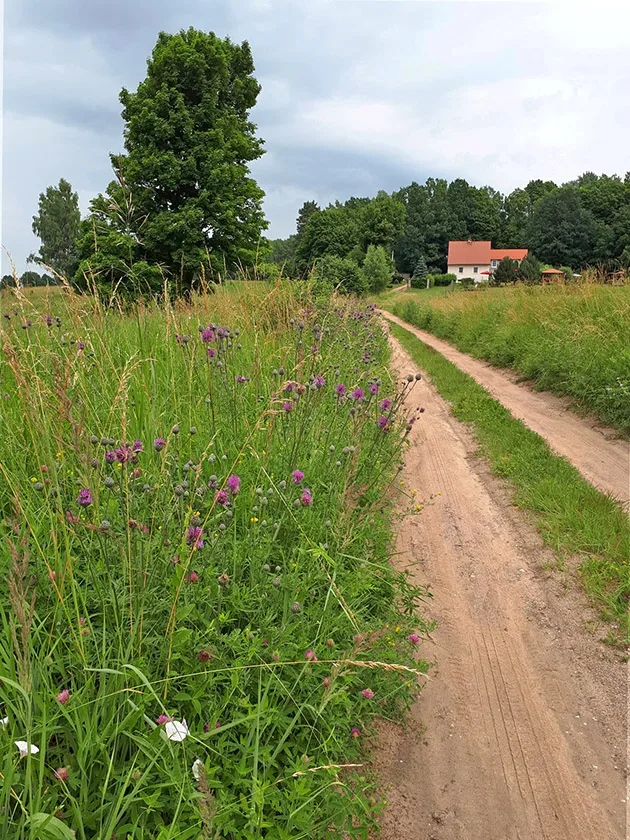 Die Rominter Heide und der Wystiter See