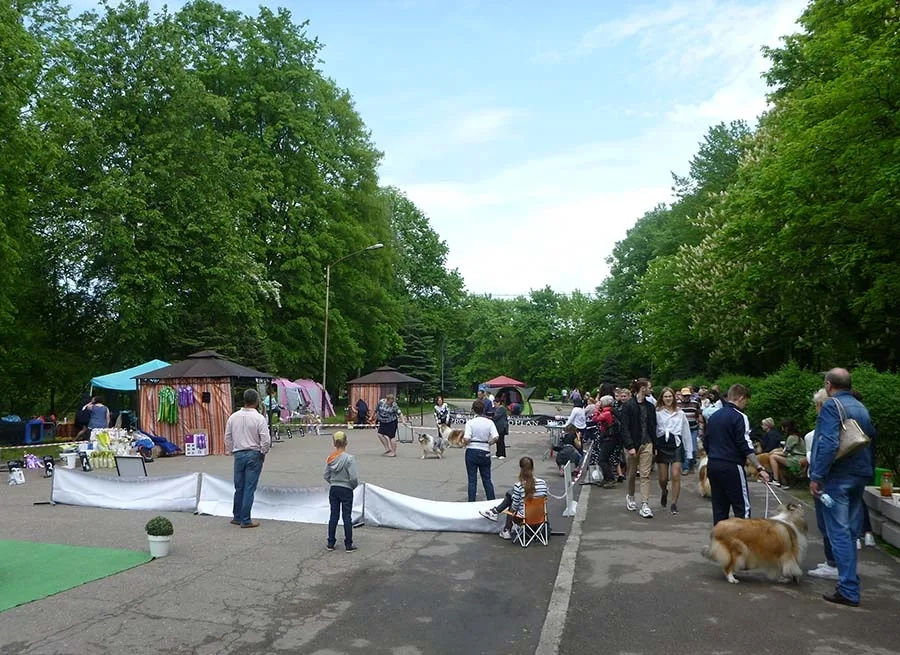 Šunų paroda