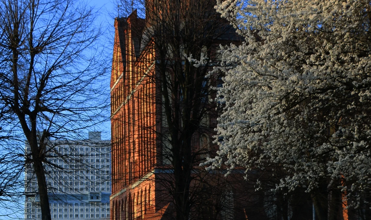 Kaliningrad – a garden city.