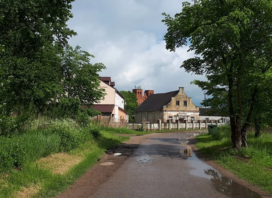 Niestierow
