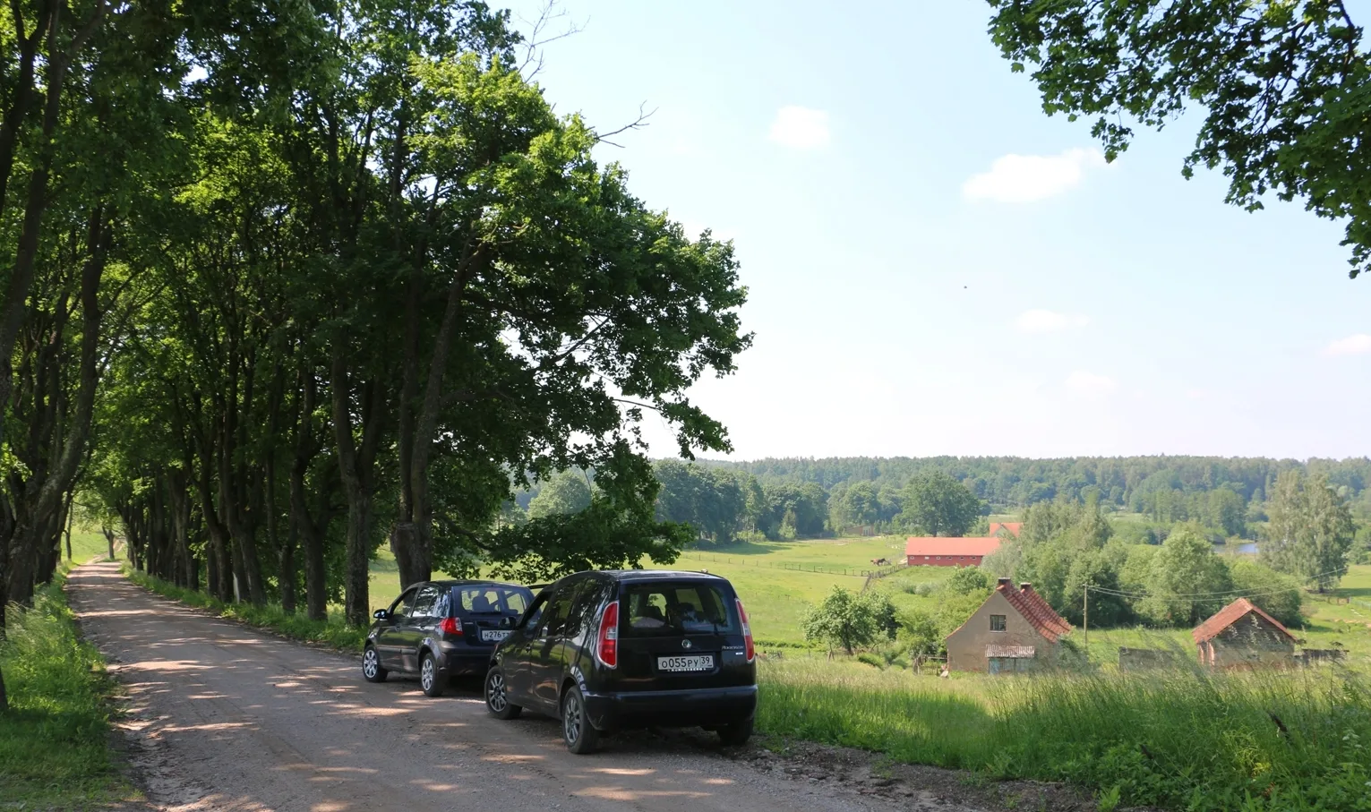 We’ve arrived! Ozerki farmstead – the forest is about a kilometre away.
