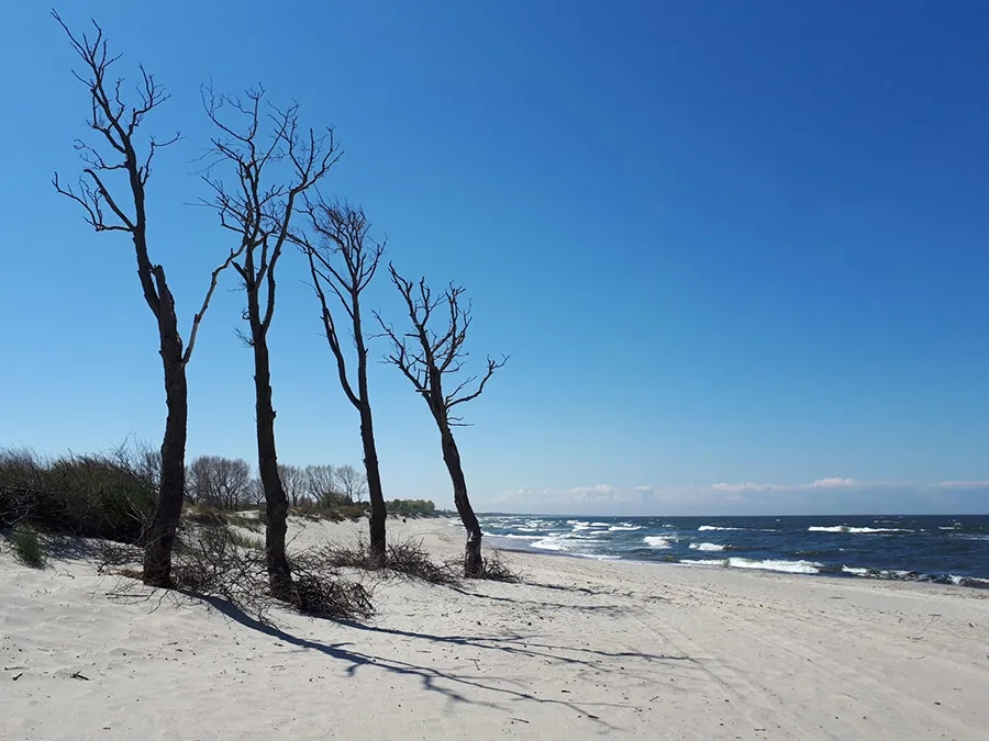 Strand auf der Frischen Nehrung