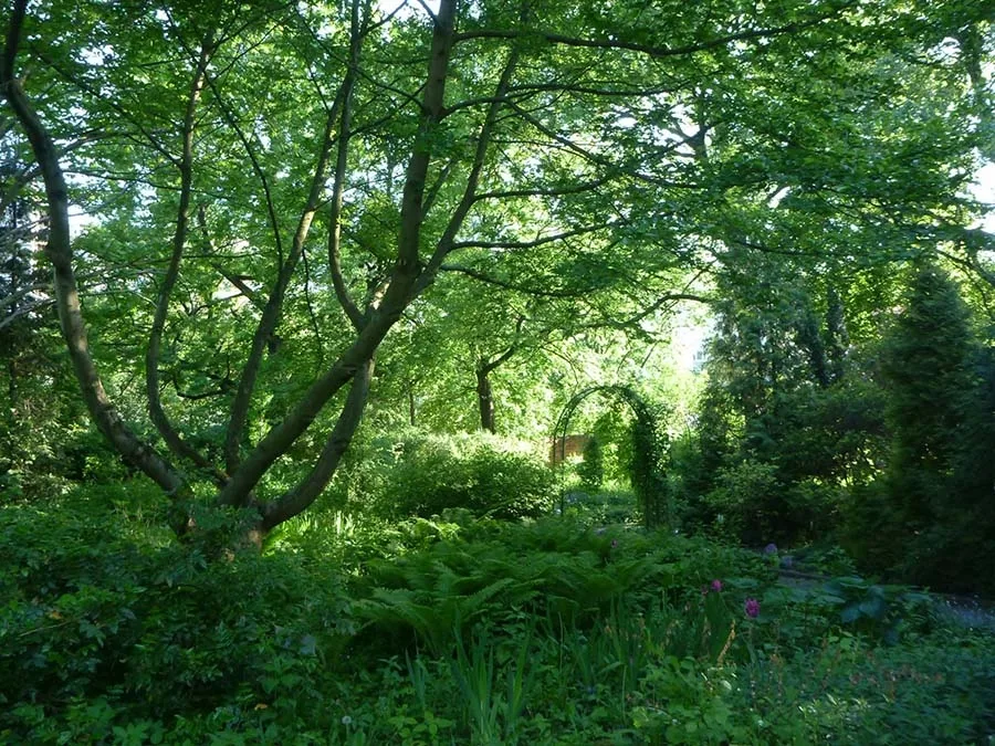 Hidden garden