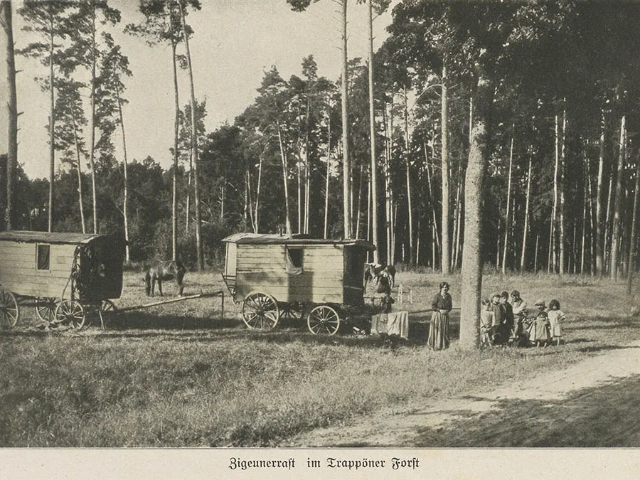 Roma in the Trappönen forest