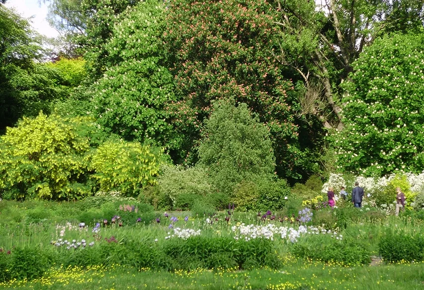 Kaliningrad / IKBFU Botanical Garden