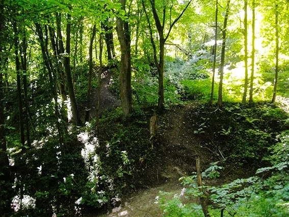 Erdwälle und Gräben des prußischen Burgwalls Rodmannshöfen