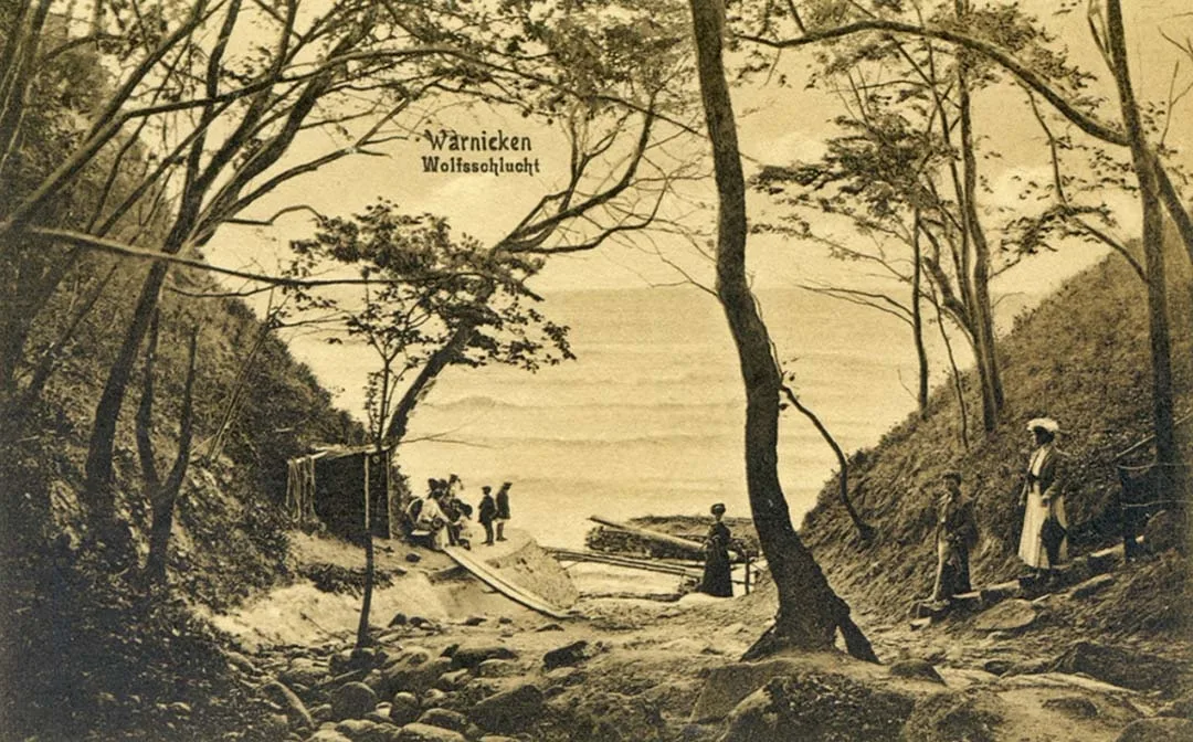 Der Warnicker Wald