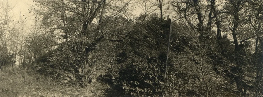 Burgwall