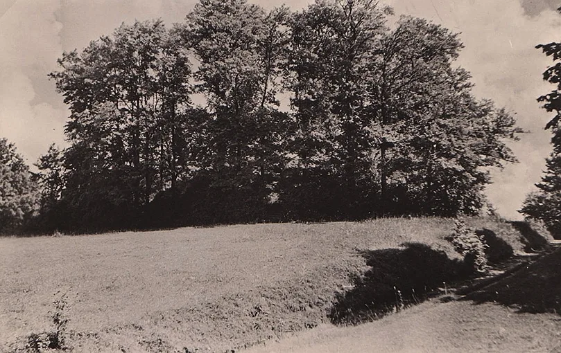 View of the rampart of the Kamswikus-Tammowischken hillfort