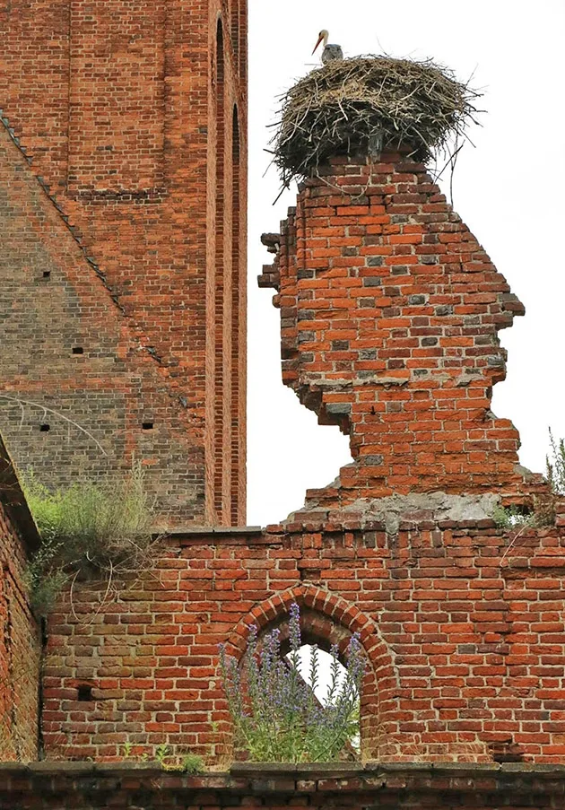 Gut Friedrichstein, Burg Tapiau und Snamensk
